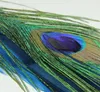 A close-up of a peacock feather with its distinctive eye pattern. Produktbild-Vorschau