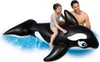 Intex 58561NP - Monture baleine Voir les images du produit 4