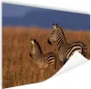 MuchoWow® Poster Mutter und Babyzebra 180x120 cm - Produktbild-Vorschau 1