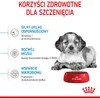 Royal Canin Medium Puppy, Szczenięta, Kukurydza, Drób, 4 kg Podgląd zdjęcia produktu 10