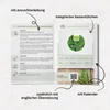 Sauerampfer Samen - Heilkräuter Saatgut aus biologischem Produktbild-Vorschau 6
