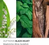 Black Velvet - vonná svíčka 510g od Candle Brothers Náhled obrázku produktu 4