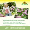 Neudorff  - Azet HortensienDünger 1L für 200L Gießwasser - Produktbild-Vorschau 4