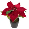 Betlémská hvězda Umělá sametová v květináči Poinsettia Náhled obrázku produktu 6