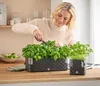 Dehner Blumenkasten Mona für 3 Pflanzen, mit Produktbild-Vorschau 6