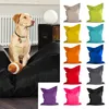Green Bean Hundebett für mittlere & große Hunde 120x160cm Produktbild-Vorschau 6
