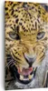 Bild auf Leinwand - Leinwandbild - Leopard tier savanne Produktbild-Vorschau 1