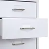 Szafka na kółkach Boston T851, stalowa szafka z szufladami, Podgląd zdjęcia produktu 5
