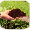 A hand holding a pile of dark brown soil or compost in front of a garden setting with green grass and plants. Produktbild-Vorschau