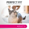 Perfect Fit Adult 1+ - Trockenvollnahrung für ausgewachsene Produktbild-Vorschau 4