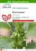 SAFLAX - Brennnessel - Urtica urens - 150 Samen - Mit Produktbild-Vorschau 1