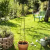Windhager Rankturm Pyramide, faltbar, pulverbeschichtet, Produktbild-Vorschau 1