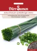 Schnittlauch Staro grobröhrig | Schnittlauchsamen von Dürr Produktbild-Vorschau 3