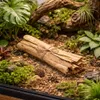 Bananenblatt Bündel 40cm Naturdeko Deko Bananenpalmenrinde Produktbild-Vorschau 7