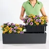 LECHUZA Bac à plantes BALCONERA Color 80 Gris clair | Bac à Voir les images du produit 9