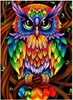 Malatec 17012 Peinture au diamant 5D - hibou Voir les images du produit 5