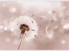Vlies Fototapete - Summer Odyssey 150x105 cm Blumen Produktbild-Vorschau 5