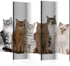 5-teiliger Einseitiger Vlies Paravent - Sweet Cats II Produktbild-Vorschau 1