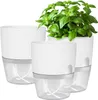 Ensemble de pots à herbes aromatiques pour la cuisine, à Voir les images du produit 1
