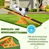Hundewippe Hunde Agility Wippe Welpenspielzeug Hundesport Produktbild-Vorschau 7