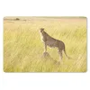 MuchoWow® Mauspad Mousepad Gepard in der Masai Mara 27x18 Produktbild-Vorschau 1