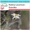 SAFLAX - Zestaw prezentowy - Szarotka - 500 Nasiona - Z Podgląd zdjęcia produktu 9