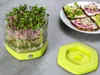 Mungobohnen-Sprossenschale grün, Packung mit 1 Stück Produktbild-Vorschau 7