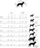 Kentucky Dogwear Hundemantel 160g Produktbild-Vorschau 2