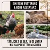 FarmLife Hühnertraum 2,5 kg - natürliches Zusatzfutter für Produktbild-Vorschau 5