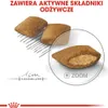 Royal Canin Mini Exigent 1kg, Adult, Gemüse, 1 kg Produktbild-Vorschau 9