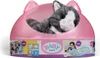 Zapf Creation BABY born My cat Cookie z pudełkiem Podgląd zdjęcia produktu 13