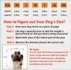 Hundeschuhe pfotenschutz mit Anti-Rutsch Sohle, Produktbild-Vorschau 5
