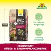 Neudorff NeudoHum Balkon- & KübelpflanzenErde - Torffreie Produktbild-Vorschau 3