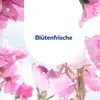5x Sagrotan allesreiniger 1,5l bloesemfris Produktbild-Vorschau 7
