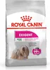 Royal Canin Mini Exigent, Adult, Klein (5-10 kg), 3 kg Produktbild-Vorschau 2
