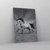 Bilder auf glas - Einteilig - Pferd Tier Natur - 50x70cm - Produktbild-Vorschau 4