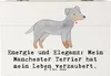Mr. & Mrs. Panda Box Manchester Terrier Magie 22 x 15 cm - Produktbild-Vorschau 1