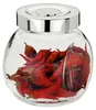 8tlg Vorratsdosenset Rosa 200 ml Bonboniere Gewürzglas Produktbild-Vorschau 3