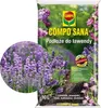 Terre pour Lavande Compo - 10L - Spécialiste - Nutriments Voir les images du produit 7