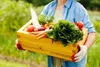 A person wearing gardening gloves holds a wooden crate filled with fresh vegetables. Produktbild-Vorschau