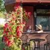 Zestaw mebli balkonowych Relaxdays, 3-częściowy, stół Podgląd zdjęcia produktu 6