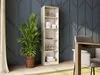 Topeshop R50 SONOMA, Eiche, 5 Regale, Partikelbord, Produktbild-Vorschau 4