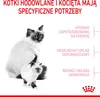 Royal Canin Mother & Babycat, Dorosły, Każda rasa, Drób, 4 Podgląd zdjęcia produktu 2