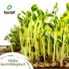 TORAF Gemüsesamen Set XXL, 3000 Samen, 7 Sorten, Garten & Produktbild-Vorschau 6