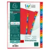 Exacompta 5x Register + A4, Karton, 225g, 20 Taben, Taben Produktbild-Vorschau 3