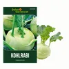 Kohlrabi Superschmelz Samen - Brassica oleracea - Produktbild-Vorschau 1