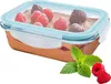 A glass food container filled with a chocolate dessert topped with raspberries and mint leaves. Anteprima dell’immagine prodotto