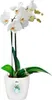 ELHO Obal Brussels Orchid 16 cm, čirá Náhled obrázku produktu 5