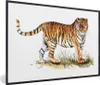 MuchoWow® MuchoWow® Gerahmtes Poster Tiger - Gras - Weiß Produktbild-Vorschau 1