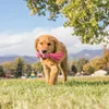KONG Wubba Puppy, Pies, Zabawka interaktywna, Różowy, Podgląd zdjęcia produktu 5
